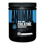 Animal Micronized Creatine Monohydrate Powder Unflavored 1.1 lb (300 g) EXP Sep 2027 - NutriFirst Pte Ltd
